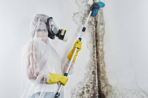 Best Crawl Space Mold Removal  in Sea Breeze, NC