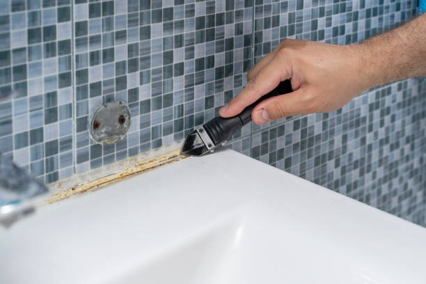 Best Mold Removal Near Me  in Sea Breeze, NC