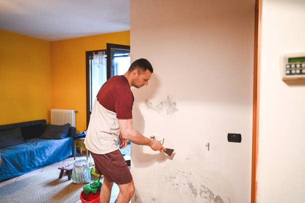 Best Mold Cleaning Services  in Sea Breeze, NC